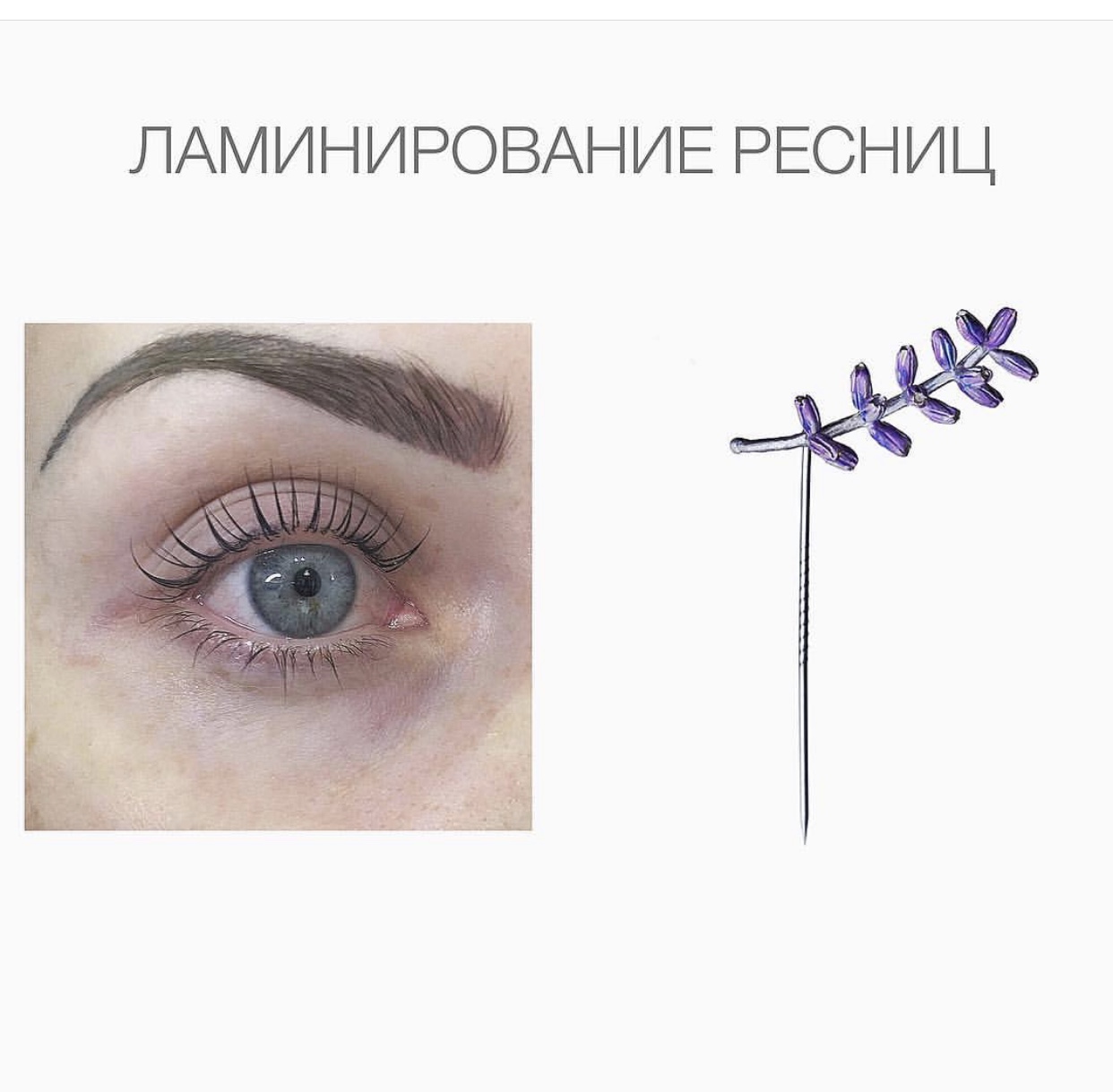 Ресницы